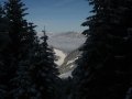 IMG-3620.JPG