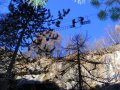 saas-fee-gorge_030.JPG