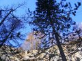 saas-fee-gorge_032.JPG