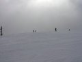 P1130013.JPG