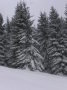 P1130020.JPG
