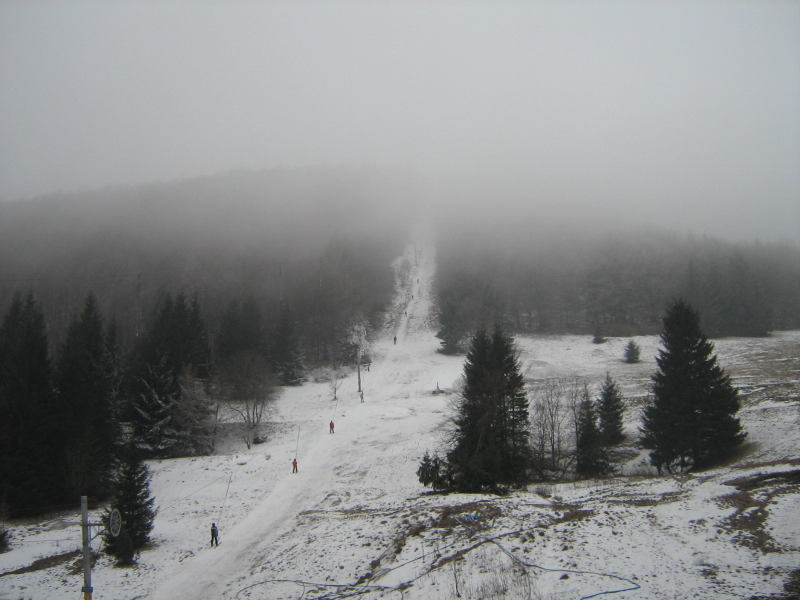 IMG-8959.JPG