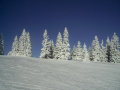 PIC-0210.JPG