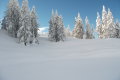 2012-01-Sankt-Johann-073.jpg
