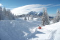 Sankt Johann im Pongau - mesevil�g, t�bb mint 1 m�teres h�val&nbsp;(21 k�p)