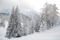 2012-01-Sankt-Johann-165.jpg