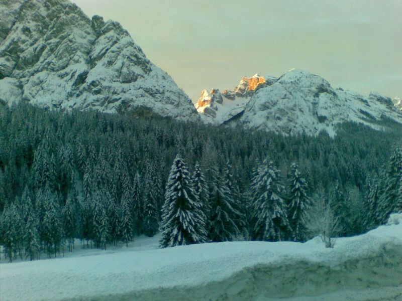 20090119.jpg