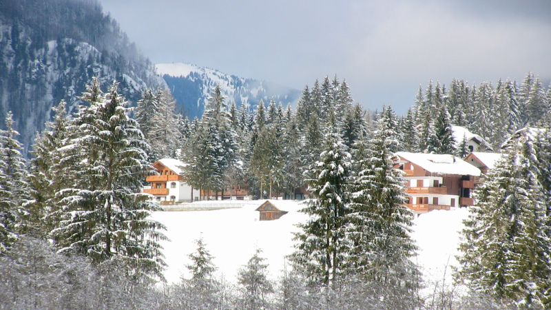IMG-3332.JPG