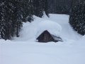 cima-sappada3.JPG