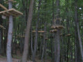satoraljaujhely200908135.JPG