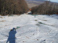 IMG-0497.JPG