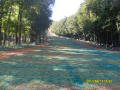 Satoraljaujhely-2011-09-17-007.jpg