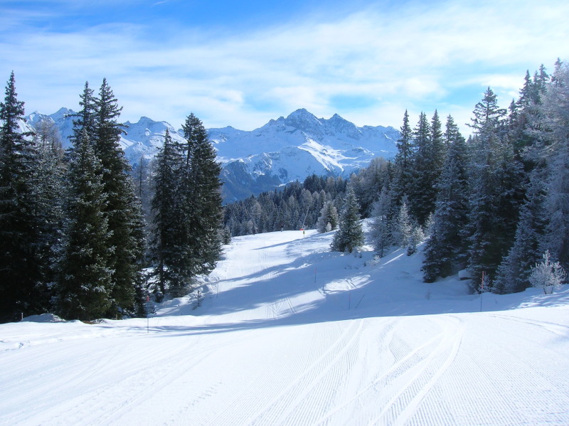 DSCN0347.JPG