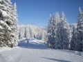 Schladming-2011-01-12-15-261.jpg