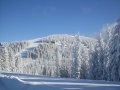 Schladming-2011-01-12-15-263.jpg