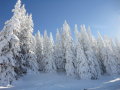 DSC01197.JPG