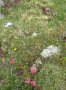 ...sz�nesebbn�l szinesebb...