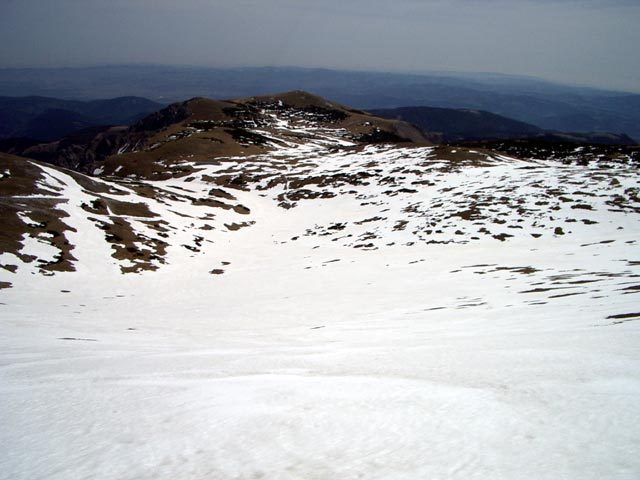 IMGP0459-.jpg