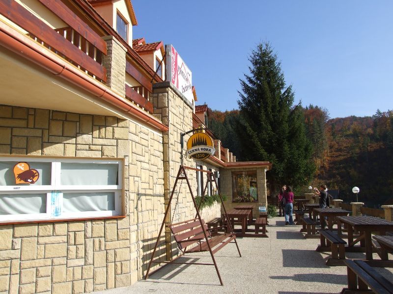 Selce004.JPG