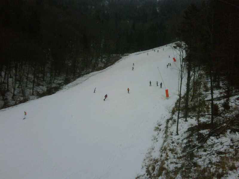 IMG00100-20100102-1445.jpg