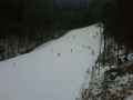 IMG00100-20100102-1445.jpg