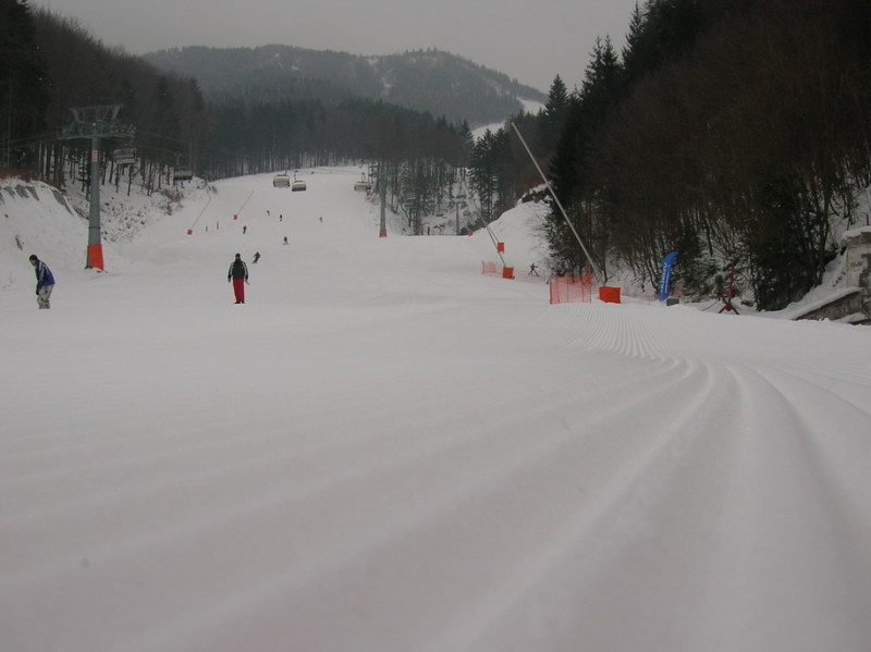 2010-02-17-034.jpg-34.jpg
