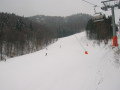 2010-02-17-005.jpg-5.jpg