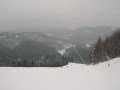 2010-02-17-010.jpg-10.jpg