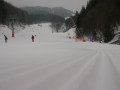 2010-02-17-034.jpg-34.jpg