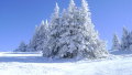 semmering