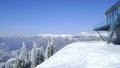 semmering-2010-004.jpg