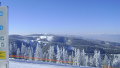 semmering-2010-006.jpg