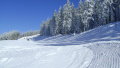 semmering-2010-009.jpg