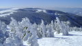 Semmering 2010&nbsp;(15 k�p)