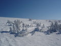 semmering_007.jpg