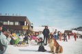 SESTRIERE K�ZPONT