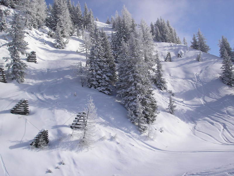 2010-01-23-29-249.jpg