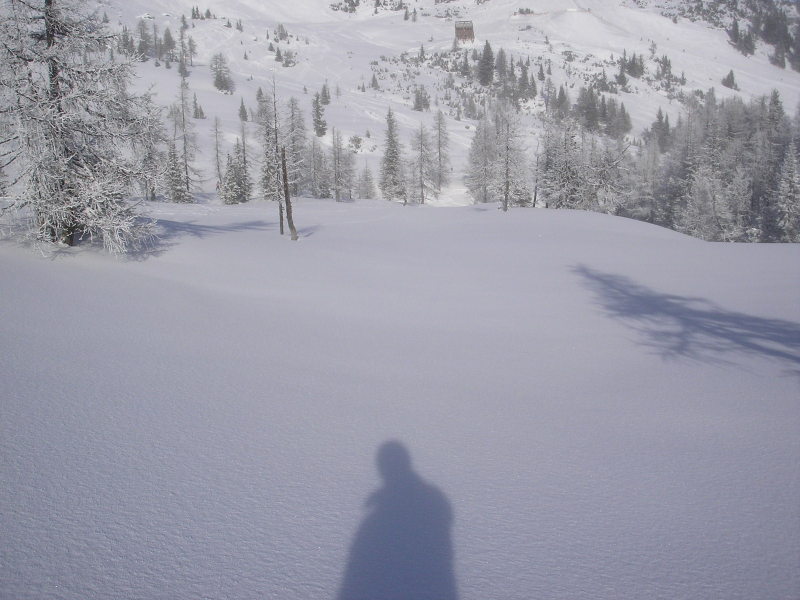 2010-01-23-29-260.jpg