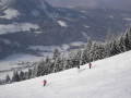 2010-01-23-29-231.jpg