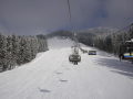 2010-01-23-29-245.jpg