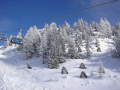 2010-01-23-29-248.jpg