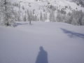 2010-01-23-29-260.jpg