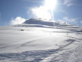 2010-01-23-29-274.jpg