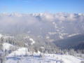 2010-01-23-29-278.jpg