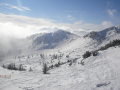 2010-01-23-29-297.jpg