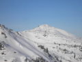 2010-01-23-29-300.jpg