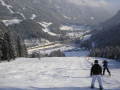 2010-01-23-29-308.jpg