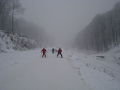 DSC04001.jpg