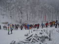 DSC04011.jpg