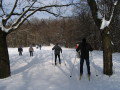 IMG_2212.JPG